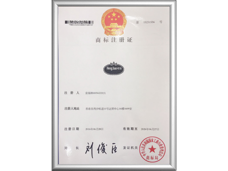 恒宝logo注册证